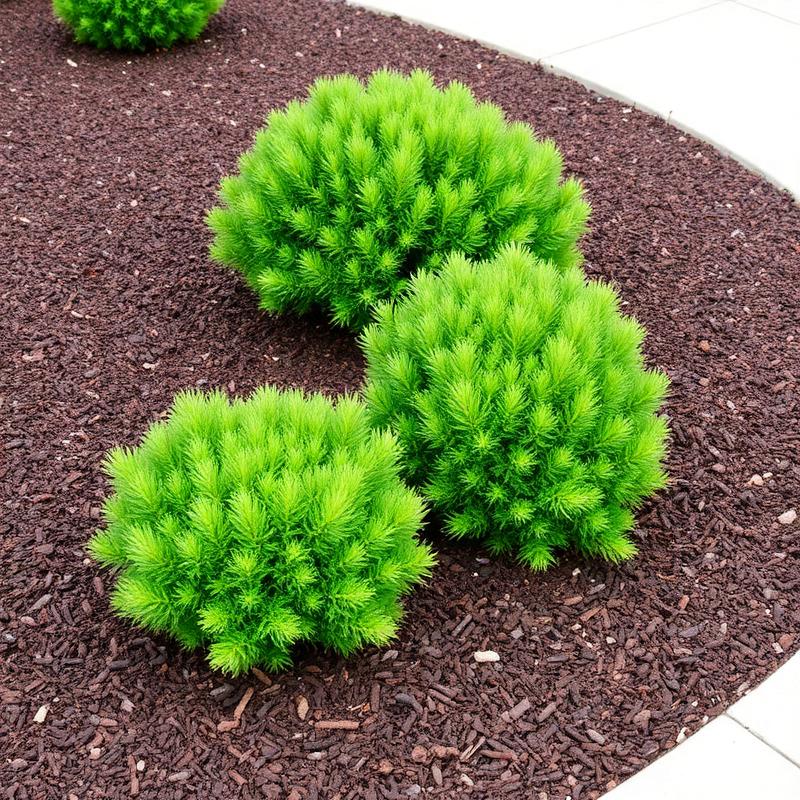 Mulch Installation